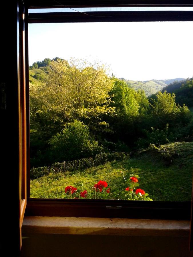 Agriturismo Il Casale Pica Posta Exterior photo